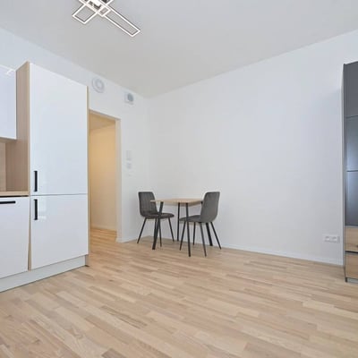 Vermietung eines hellen Studios, 28 m², Bezirk Staré Mesto, Bratislava, Slowakei